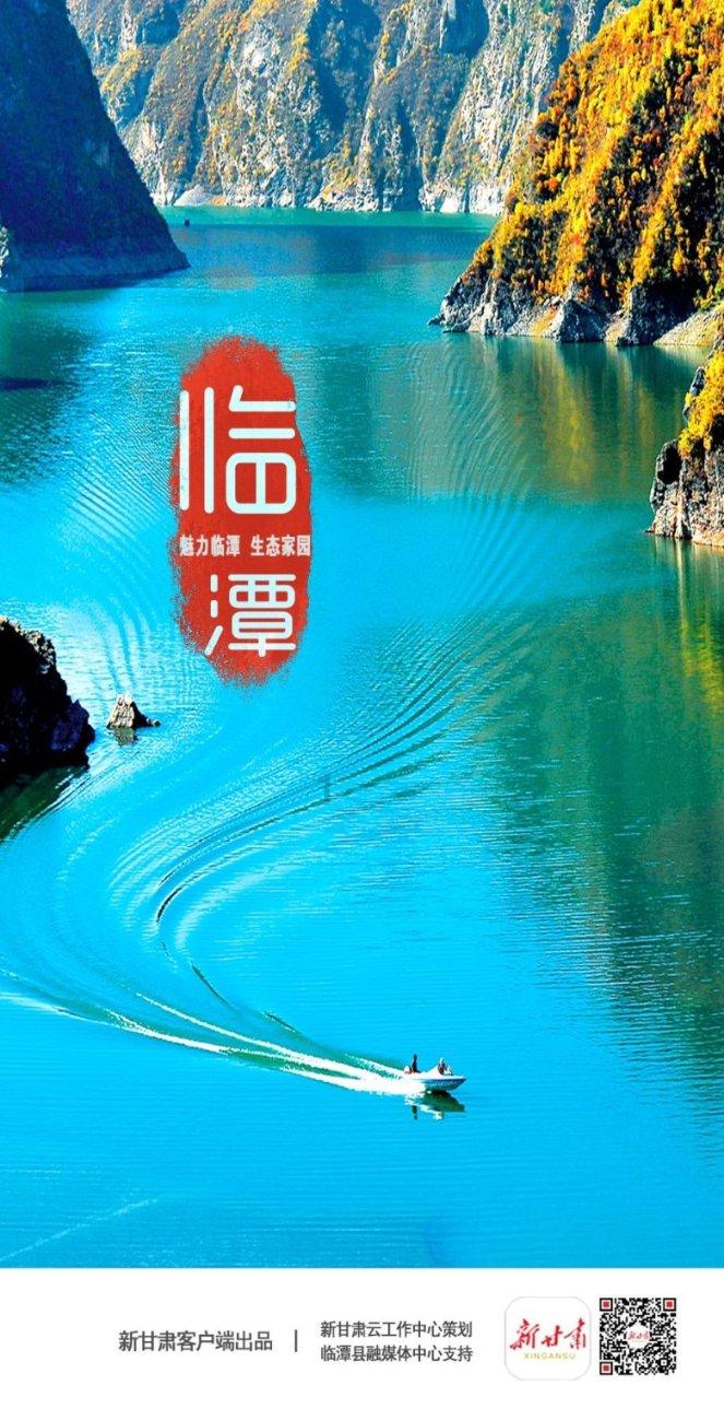 丹凤何家店村集体经济经营性收益近百万元